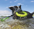 KONG Reflex Tug Dog Toy, Yellow, Medium / Floats!
