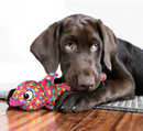 KONG Wubba Finz Dog Toy: Pink or Blue CHEAPER THAN CHEWY