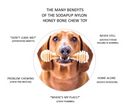 SodaPup Nylon Honey Bone Ultra Durable Dog Chew Small & Large