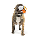 15% OFF! Tiny Tuff Boo Buddies Power Plush Dog Toys 2 Pack