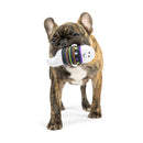 15% OFF! Tiny Tuff Boo Buddies Power Plush Dog Toys 2 Pack