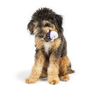 15% OFF! Tiny Tuff Boo Buddies Power Plush Dog Toys 2 Pack