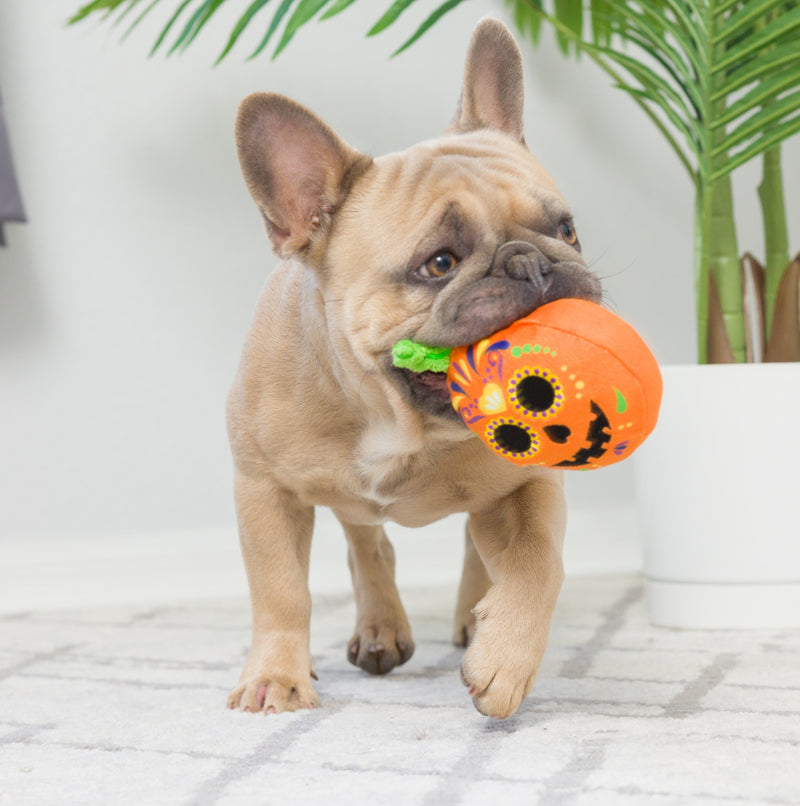 Tiny Tuff Pumpkin Treats Power Plush Dog Toys 2 Pack