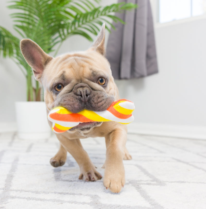 Tiny Tuff Pumpkin Treats Power Plush Dog Toys 2 Pack