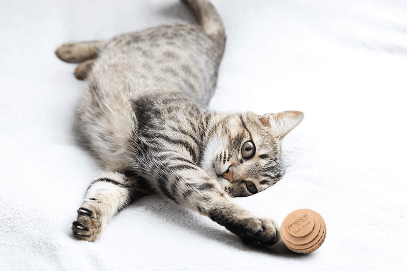 Americat Eco - Friendly Cat Ball Toys 3 Pack - Glad Dogs Nation | ALL Profits Donated