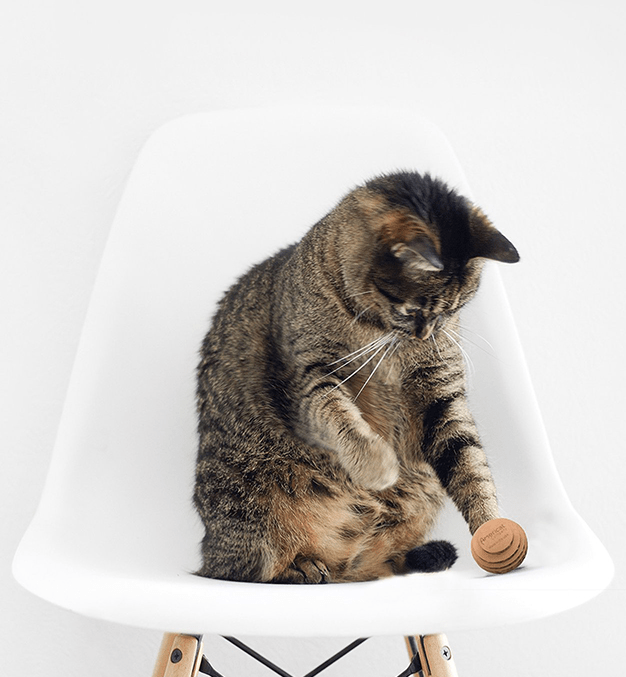 Americat Eco - Friendly Cat Ball Toys 3 Pack - Glad Dogs Nation | ALL Profits Donated