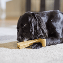 Bam - Bones Bambone Plus 6" Tough Dog Chew: 3 Flavors - Glad Dogs Nation | ALL Profits Donated