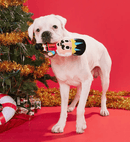 BARK Buddy The Buttcracker Squeaky & Crinkle Dog Toy - Glad Dogs Nation | ALL Profits Donated