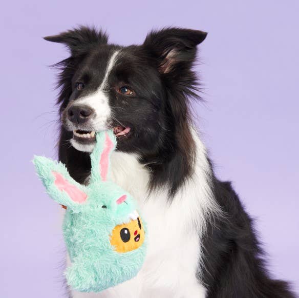20% OFF! BARK Buddy The Nutty Bunny Easter Plush Squeaky Dog Toy