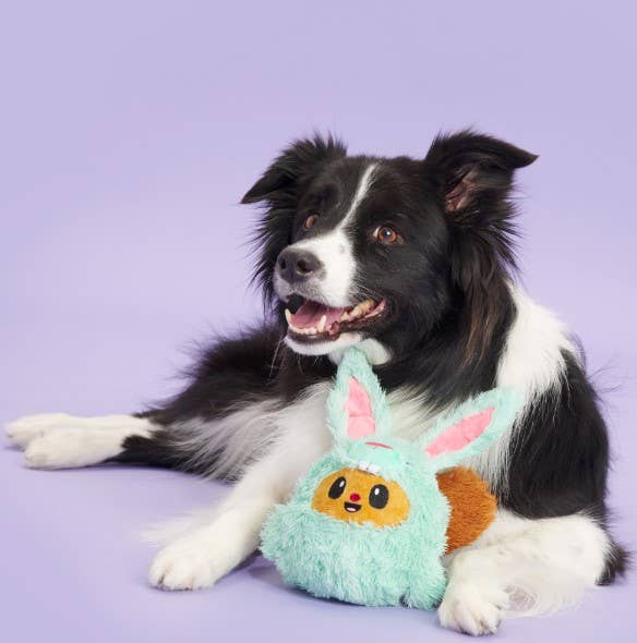 20% OFF! BARK Buddy The Nutty Bunny Easter Plush Squeaky Dog Toy