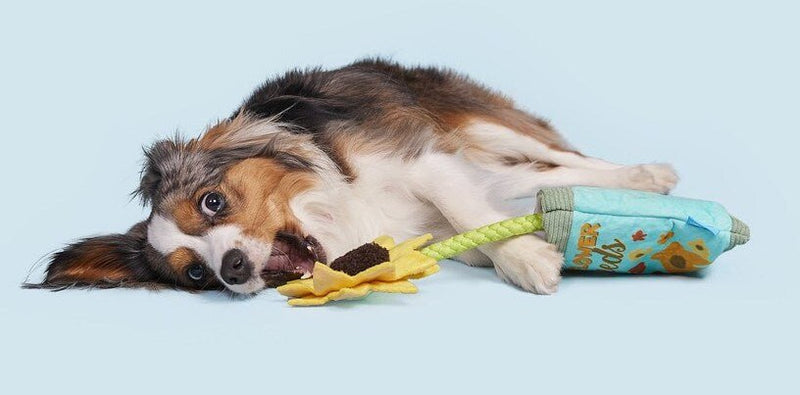 dog flower seeds 20% OFF! BARK Funflower Seeds Rope Dog Toy