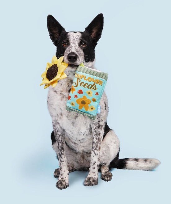 BARK Funflower Seeds Rope Dog Toy - Glad Dogs Nation | ALL Profits Donated