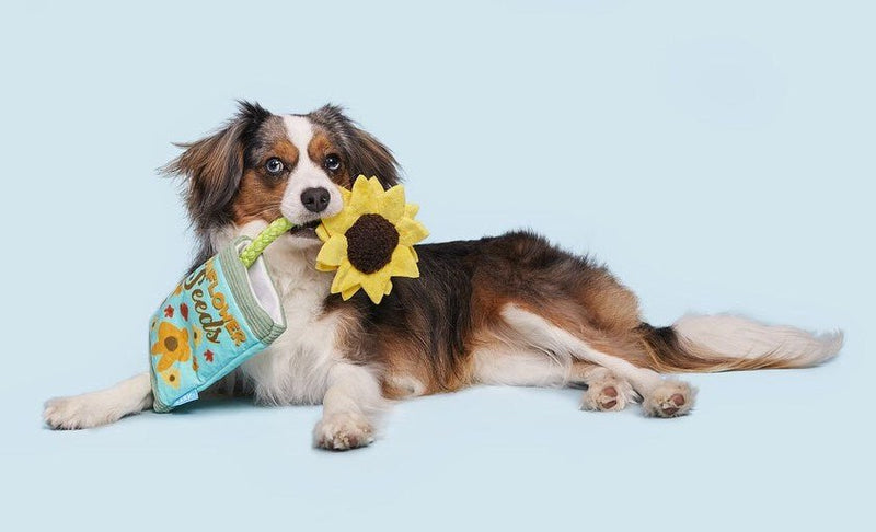 dog flower seeds 20% OFF! BARK Funflower Seeds Rope Dog Toy