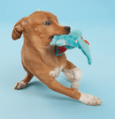 BARK Grimbold the Dragon Plush Dog Toy: Small Dogs BEST SELLER - Glad Dogs Nation | ALL Profits Donated