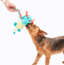 BARK Grimbold the Dragon Plush Dog Toy: Small Dogs BEST SELLER - Glad Dogs Nation | ALL Profits Donated