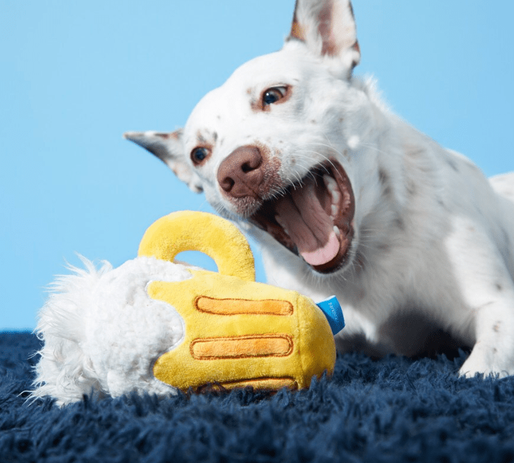 BARK Hair of the Dog Mug of Beer Spiky Squeaker Dog Toy - Glad Dogs Nation | ALL Profits Donated