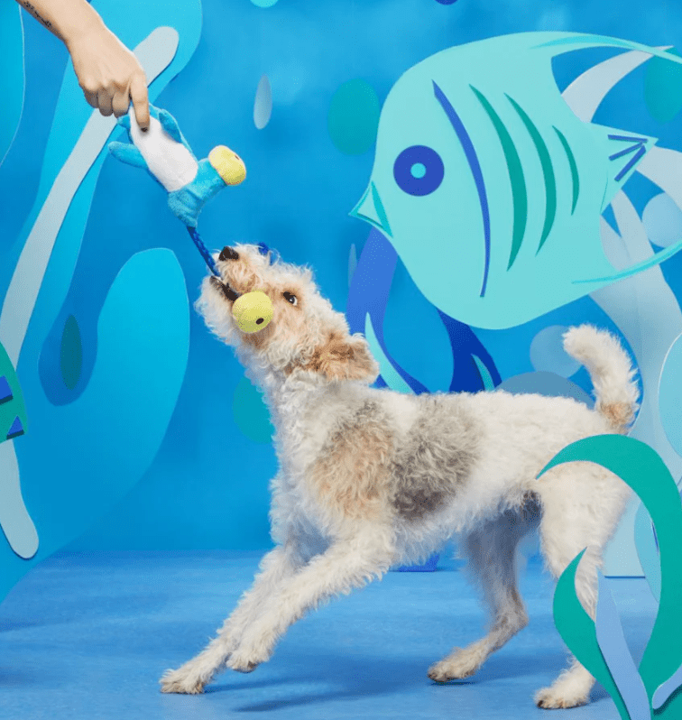 BARK Hammerin' Hank the Shark 4 Squeaker & Rope Dog Toy - Glad Dogs Nation | ALL Profits Donated