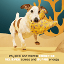 BARK Leopold Leopard Shark Toy - in - Toy Squeak & Crinkle Dog Toy, Medium Dogs - Glad Dogs Nation | ALL Profits Donated
