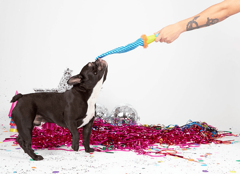 BARK Roll Over Party Blower: Medium - Glad Dogs Nation | ALL Profits Donated