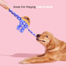 BARK Slow Jams Dan Crinkly Tube Squeaky Plush Dog Toy - Glad Dogs Nation | ALL Profits Donated