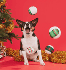 BARK Snowballers Holiday Squeaky Tennis Balls Dog Toy 4 Pack - Glad Dogs Nation | ALL Profits Donated