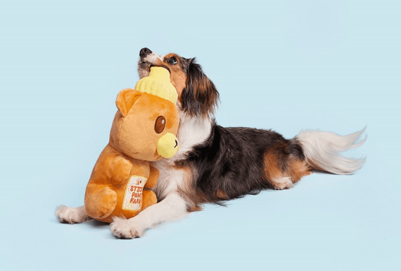 BARK Sticky Paws Honey Bear for Dogs 20 - 50+ Pounds - Glad Dogs Nation | ALL Profits Donated