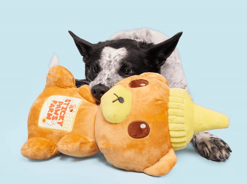 BARK Sticky Paws Honey Bear for Dogs 20 - 50+ Pounds - Glad Dogs Nation | ALL Profits Donated