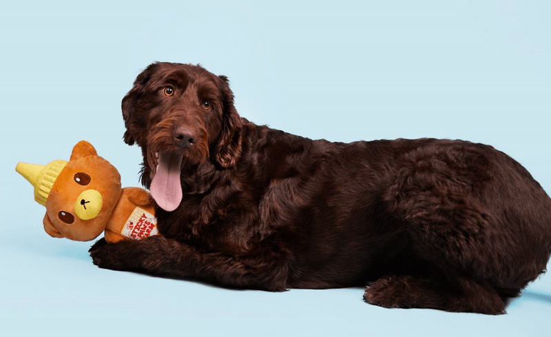 BARK Sticky Paws Honey Bear for Dogs 20 - 50+ Pounds - Glad Dogs Nation | ALL Profits Donated