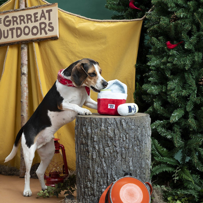 Bark Sub - Zero Camping Hero Multi - Part Crinkle & Squeak Dog Toy - Glad Dogs Nation | ALL Profits Donated