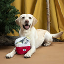 Bark Sub - Zero Camping Hero Multi - Part Crinkle & Squeak Dog Toy - Glad Dogs Nation | ALL Profits Donated