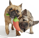 BARK Super Chewer Habanero Pupper Dog Chew Toy - Glad Dogs Nation | ALL Profits Donated