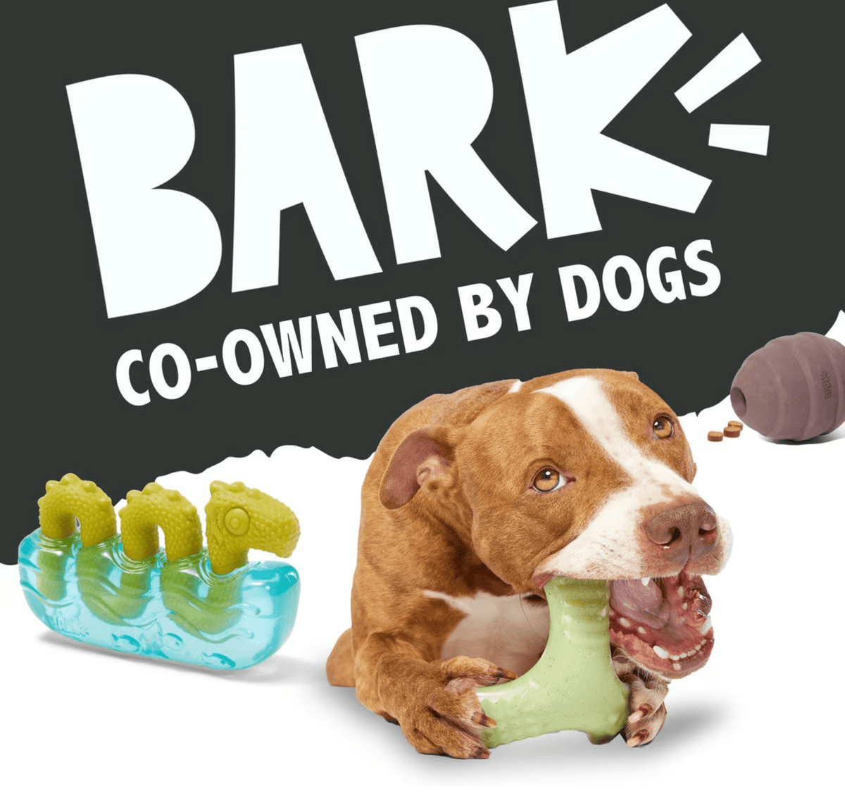 bark and co dog toys BARK Super Chewer Treat-Dispensing Acornucopia Dog Toy Large CHEAPER T