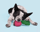 BARK Super Chewer Turnt Up Turnip Dog Chew Toy - Glad Dogs Nation | ALL Profits Donated