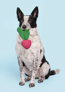 BARK Super Chewer Turnt Up Turnip Dog Chew Toy - Glad Dogs Nation | ALL Profits Donated