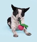 BARK Super Chewer Turnt Up Turnip Dog Chew Toy - Glad Dogs Nation | ALL Profits Donated