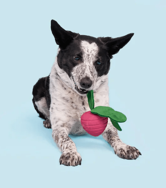 BARK Super Chewer Turnt Up Turnip Dog Chew Toy - Glad Dogs Nation | ALL Profits Donated