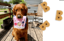 Bocce's Bakery Burgers & Fries Soft & Chewy Dog Treats - Glad Dogs Nation | ALL Profits Donated