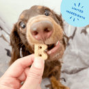 Bocce's Bakery Fish & Chips Biscuits Crunchy Dog Treats - Glad Dogs Nation | ALL Profits Donated