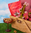 Bocce's Bakery Love Struck Salmon & Sweet Potato Soft & Chewy Dog Treats - Glad Dogs Nation | ALL Profits Donated