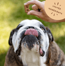 Bocce's Bakery Mud Pie Oh My Soft & Chewy Dog Treats - Glad Dogs Nation | ALL Profits Donated