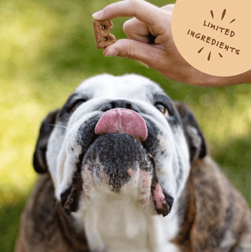Bocce's Bakery Mud Pie Oh My Soft & Chewy Dog Treats - Glad Dogs Nation | ALL Profits Donated