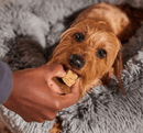 Bocce's Bakery Soft & Chewy Peanut Butter & Banana Recipe Dog Treats - Glad Dogs Nation | ALL Profits Donated