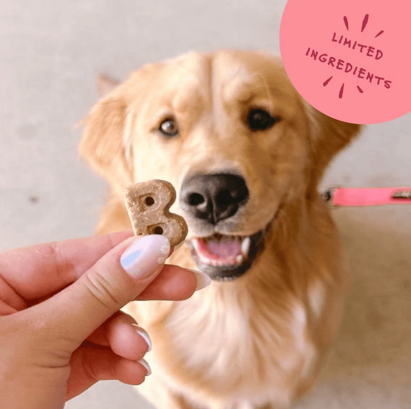 Bocce's Bakery Soft & Chewy Salmon Recipe Dog Treats - Glad Dogs Nation | ALL Profits Donated