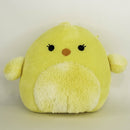 BOGO! Medium Squishy Cuddlers Super Soft Plush Pet Toys: Squeak & NO Squeak - Glad Dogs Nation | ALL Profits Donated