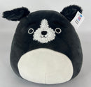 BOGO! Medium Squishy Cuddlers Super Soft Plush Pet Toys: Squeak & NO Squeak - Glad Dogs Nation | ALL Profits Donated