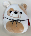 BOGO! Medium Squishy Cuddlers Super Soft Plush Pet Toys: Squeak & NO Squeak - Glad Dogs Nation | ALL Profits Donated