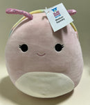 BOGO! Medium Squishy Cuddlers Super Soft Plush Pet Toys: Squeak & NO Squeak - Glad Dogs Nation | ALL Profits Donated