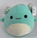 BOGO! Medium Squishy Cuddlers Super Soft Plush Pet Toys: Squeak & NO Squeak - Glad Dogs Nation | ALL Profits Donated