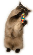 Cat Dancer Whisker Chaser Cat Toy – 2 Pack - Glad Dogs Nation | ALL Profits Donated