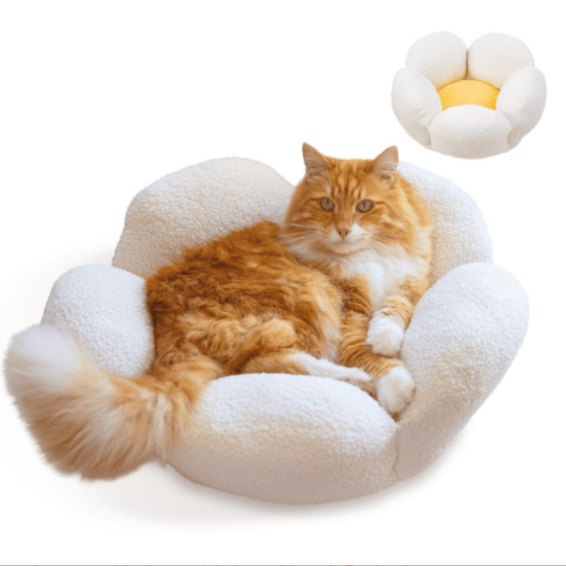 Catstages 21" Purrfect Petals Flower Shaped Bolster Bed with Removable Cover: White & Yellow - Glad Dogs Nation | ALL Profits Donated